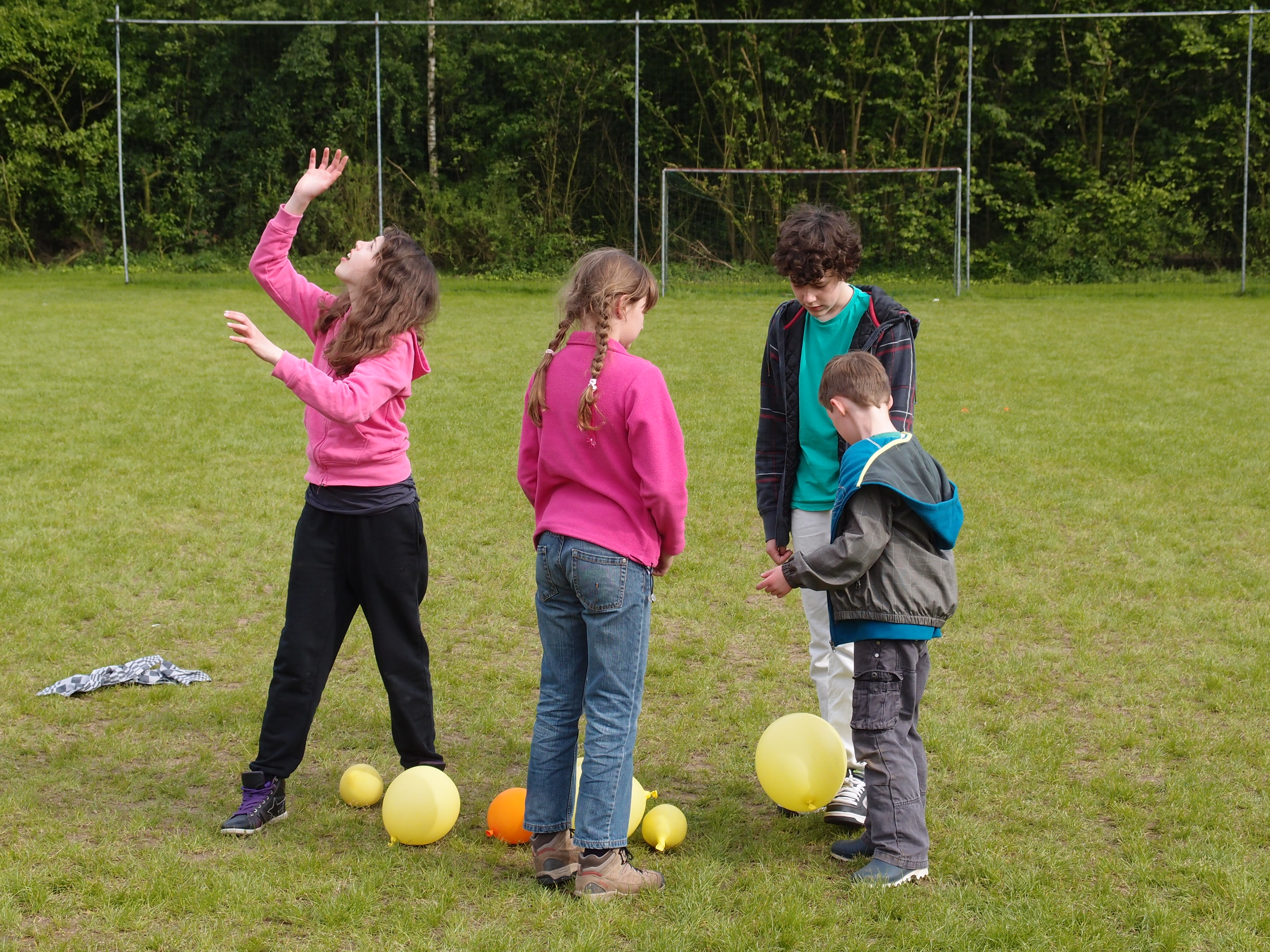 HWK 2012 Hummelo 050.jpg